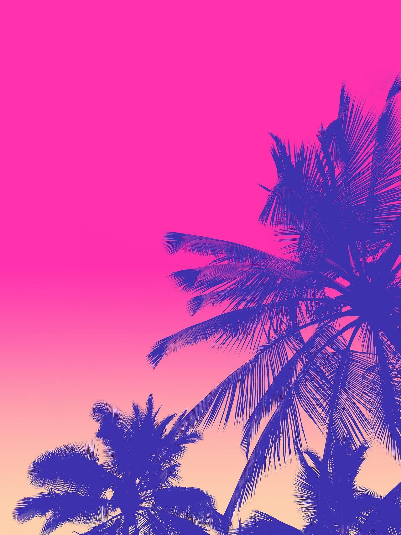 80s Palm Trees Wallpapers - Top Free 80s Palm Trees Backgrounds ...