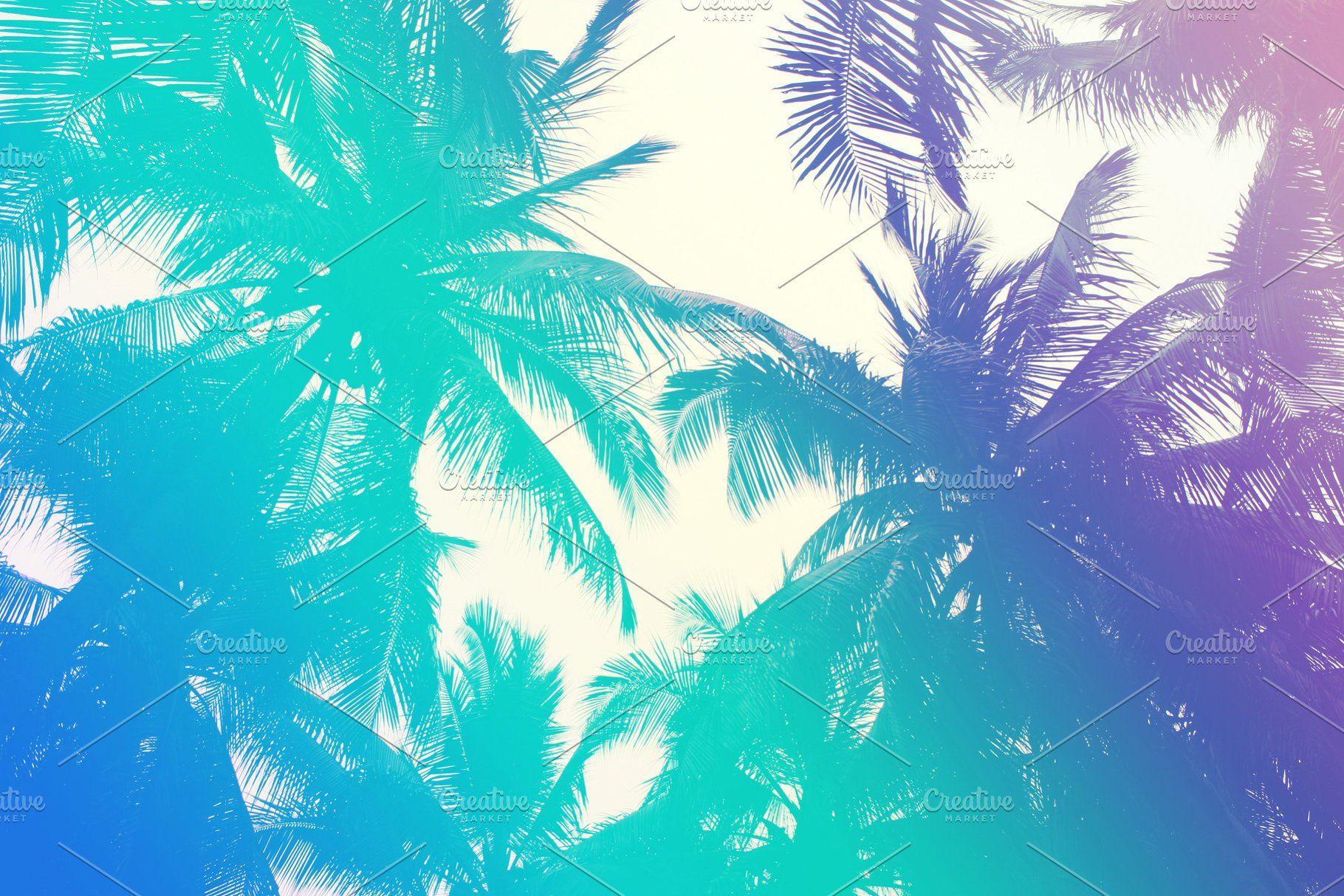 1820x1214 Tropical 80s palm tree jungle BG