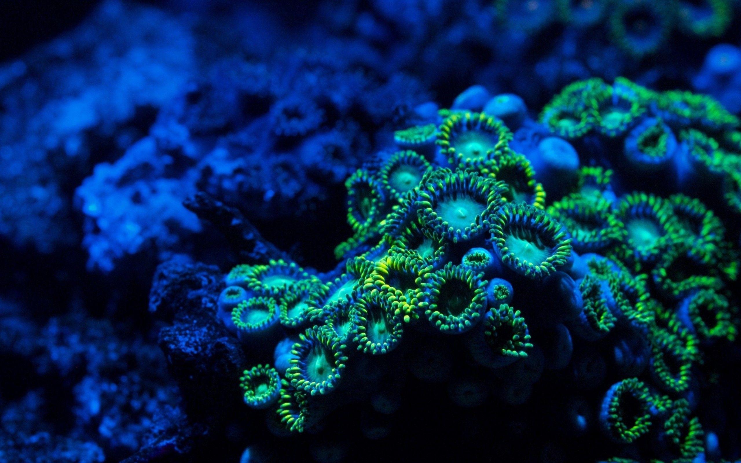 2560x1600 Super Cool Background