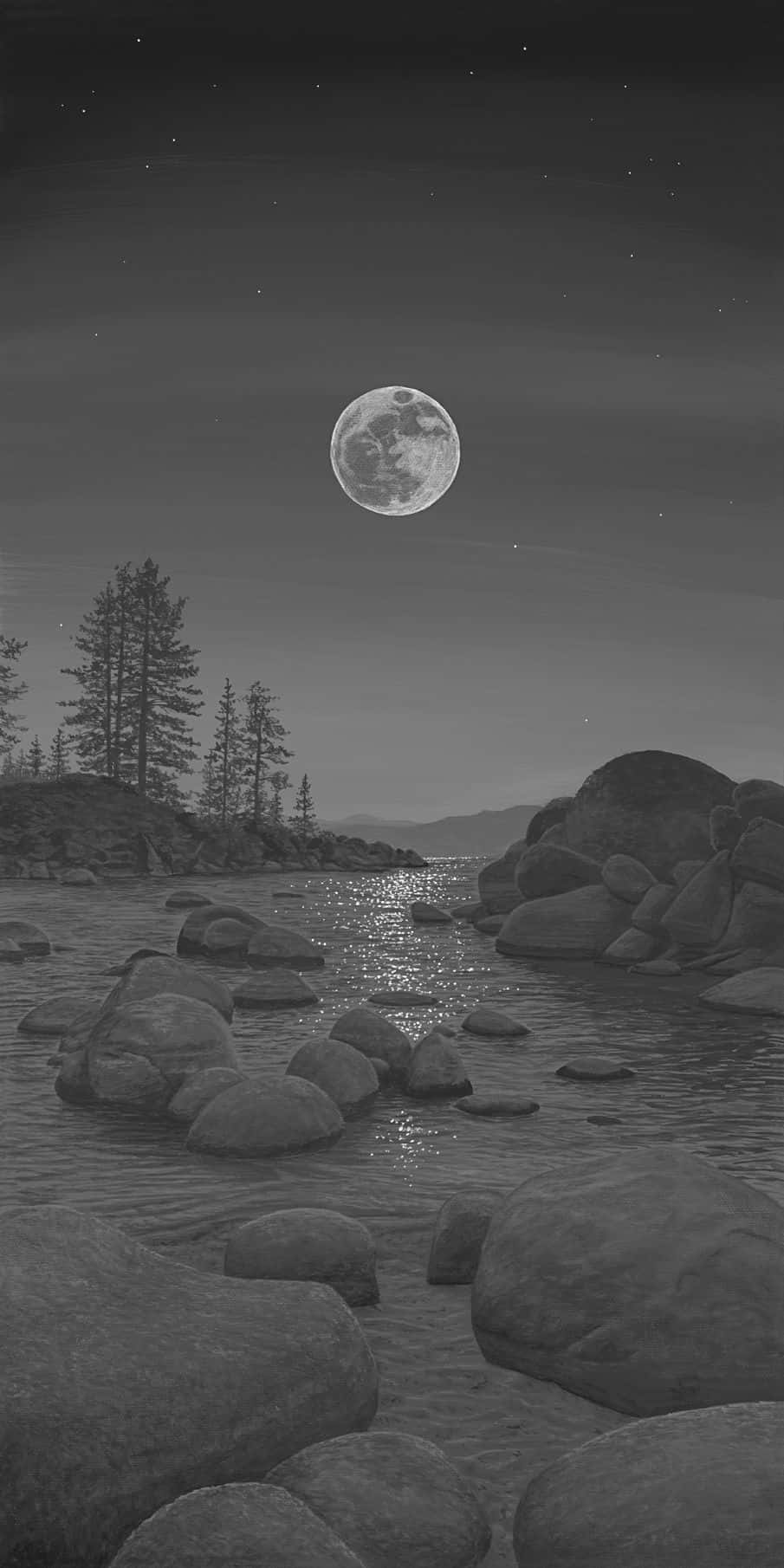 905x1810 Dark Grey Aesthetic Wallpaper