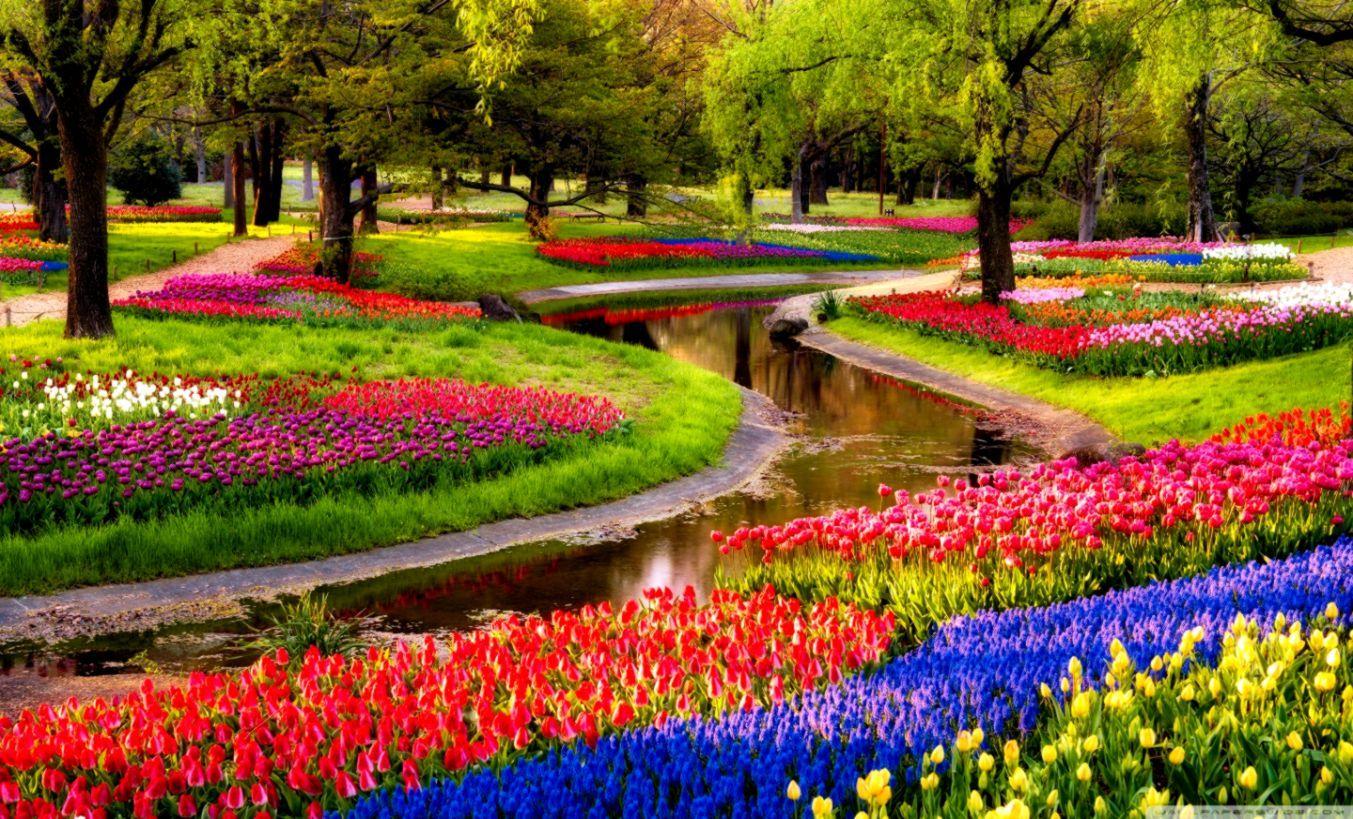 1353x819 Beautful Garden HD Wallpaper