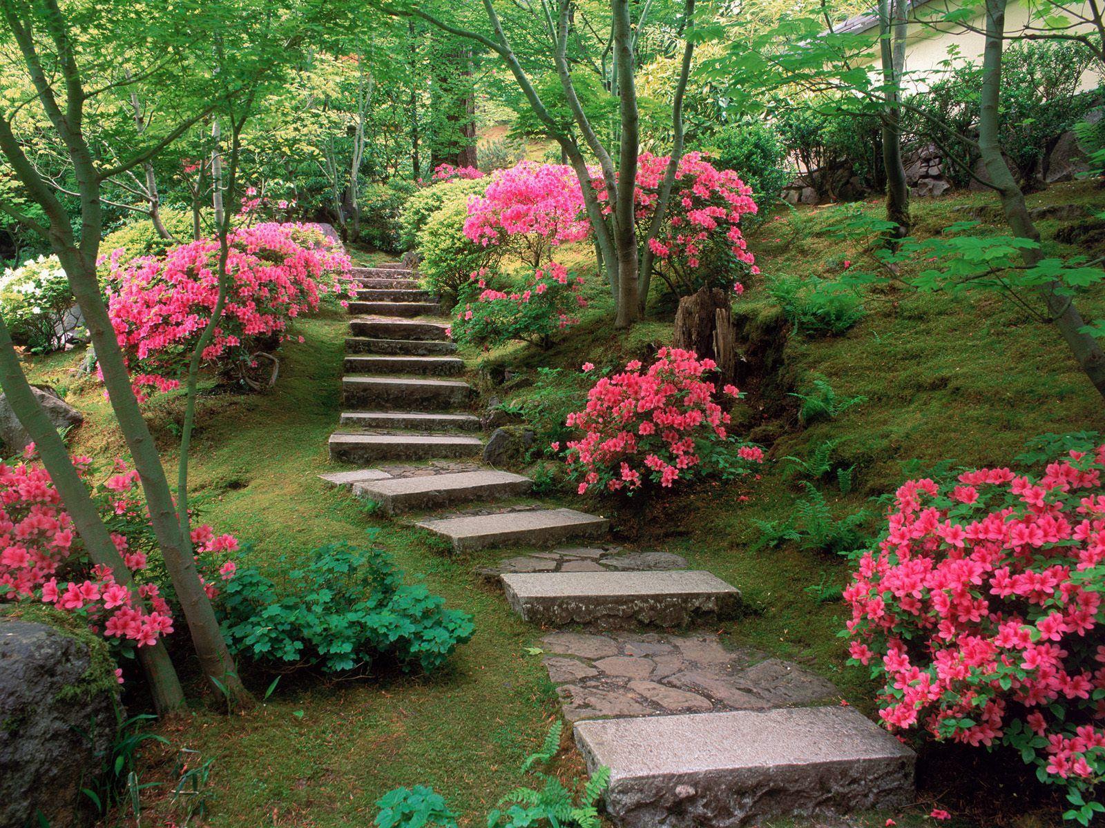 1600x1200 Garden Wallpaper High Quality