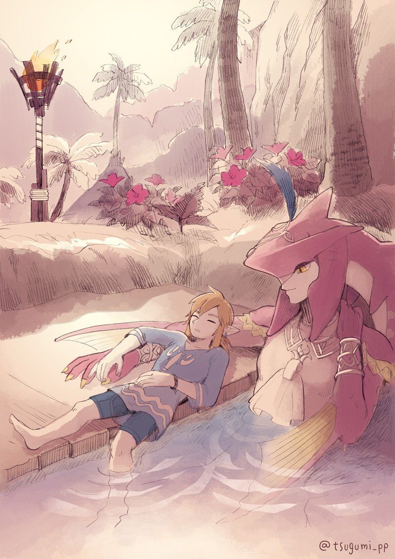 800x1131 Hd wallpaper 4k, Tloz botw, Imagenes