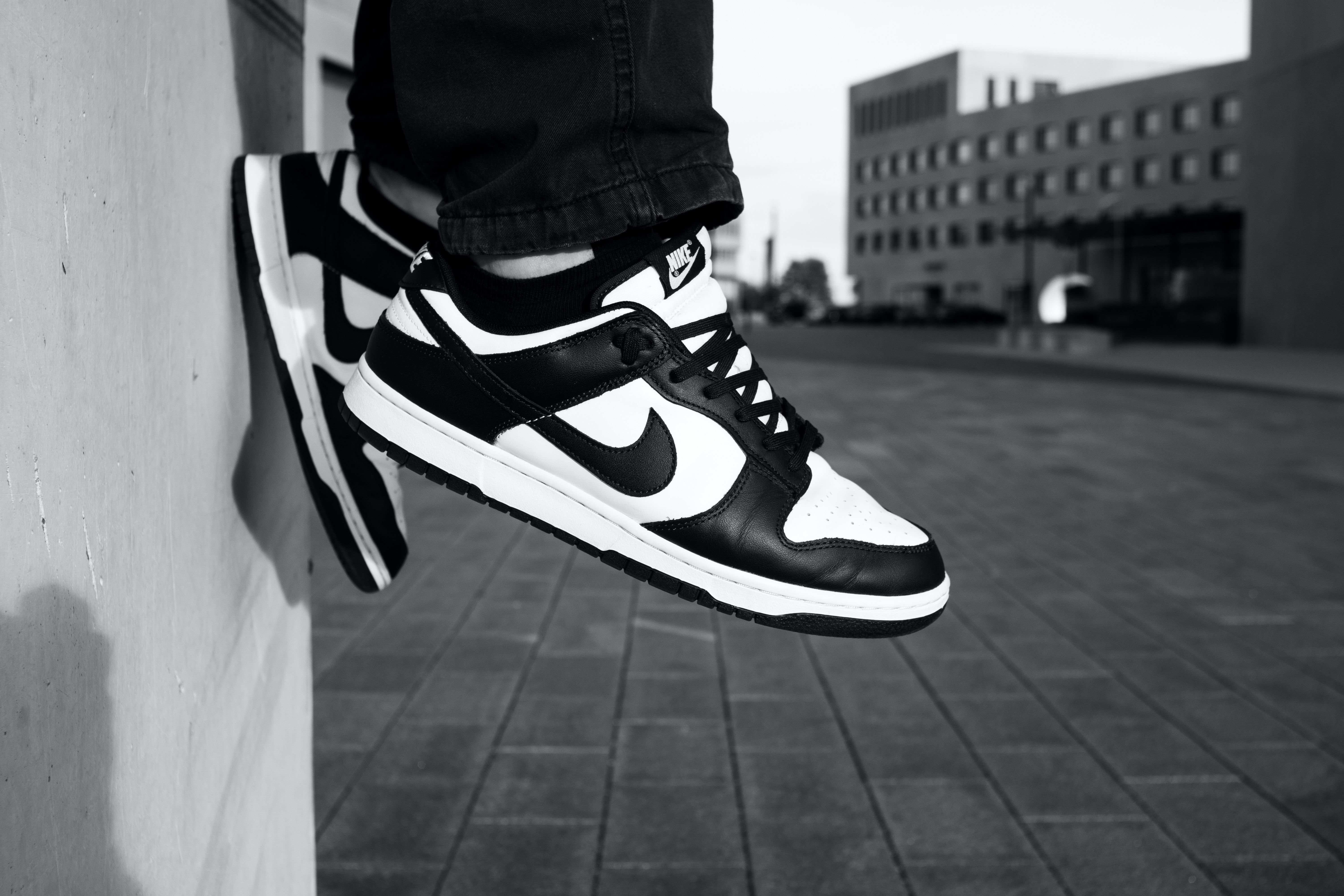 6000x4000 Panda Dunks Wallpaper