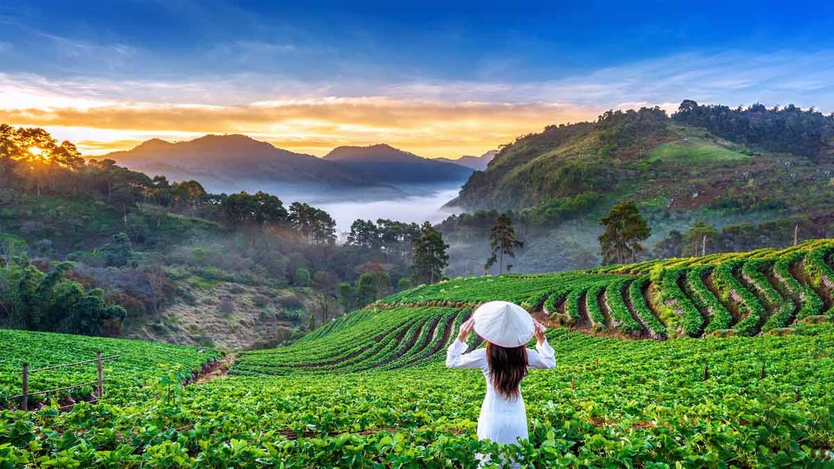 1200x675 Places to Visit In Mizoram This Summer