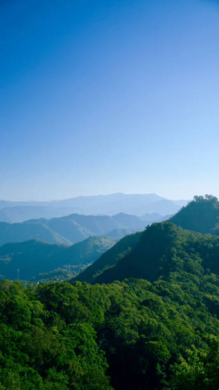 720x1280 Mizoram is the happiest state in India