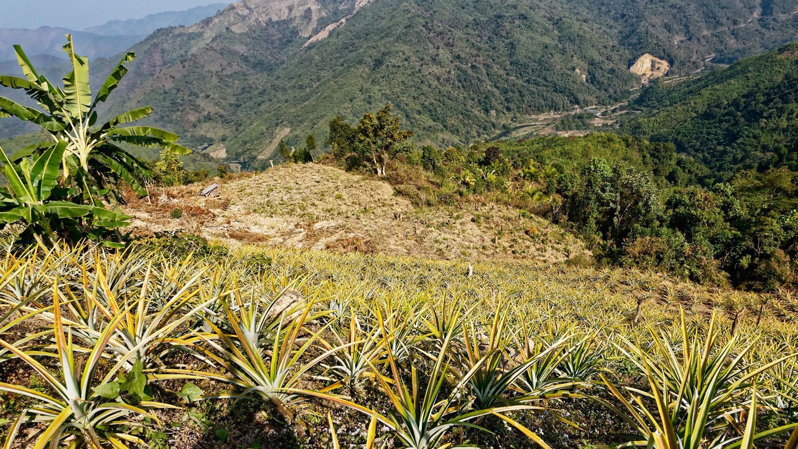 1600x900 Photography from Mizoram