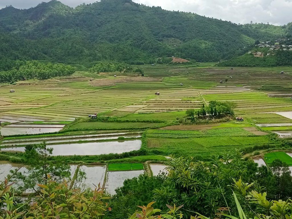 1024x768 Mizoram NGO concerned over purchase