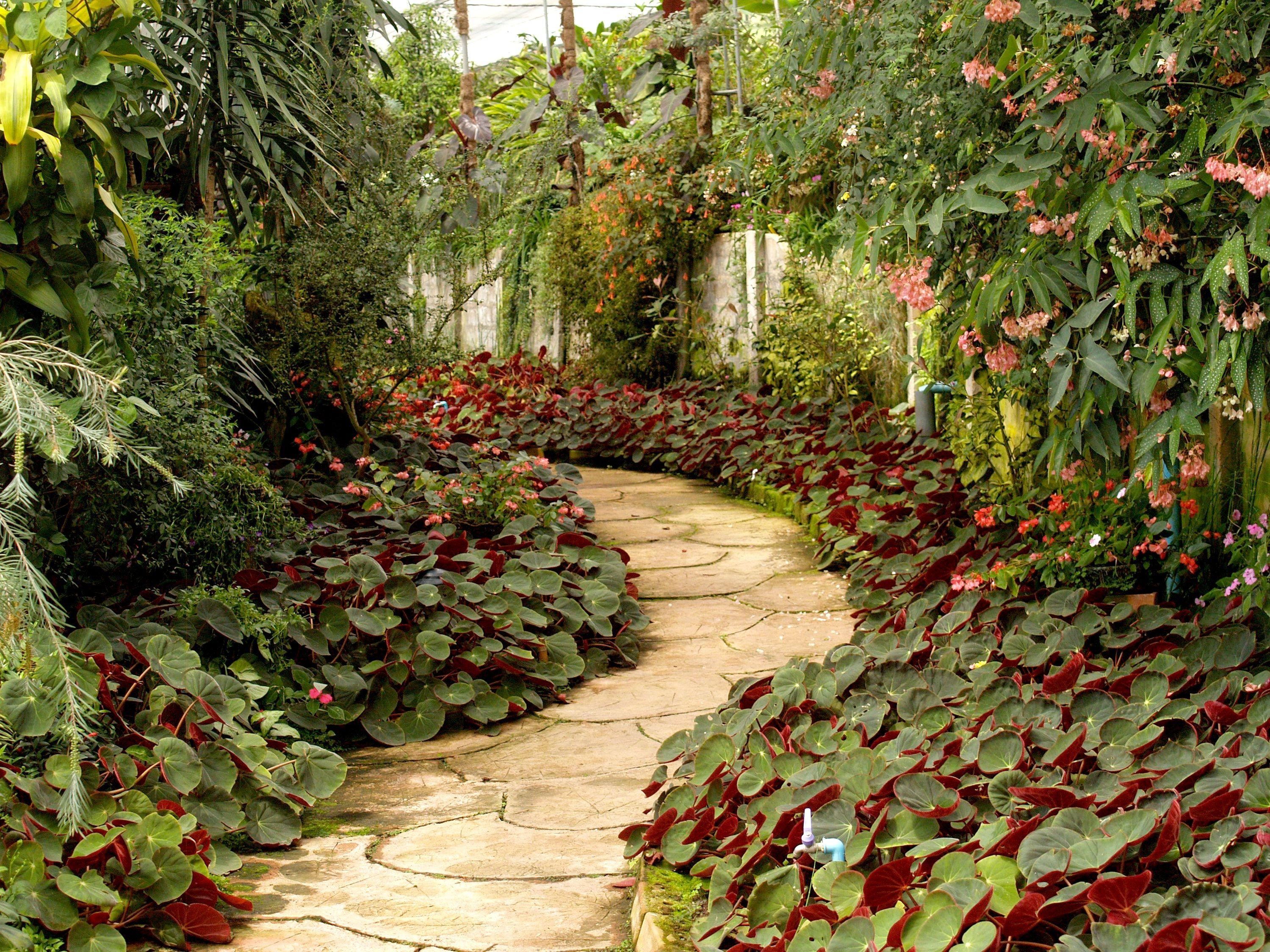 2999x2249 Green and Brown Garden · Free