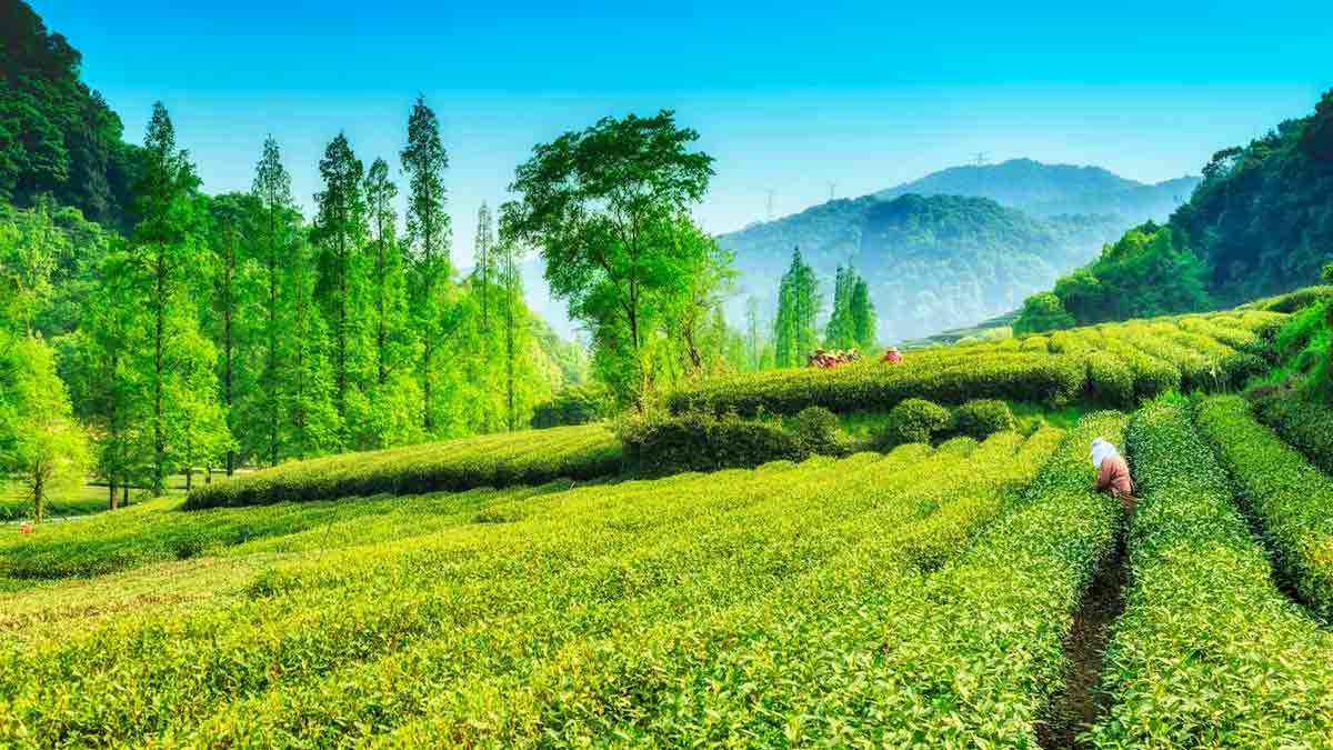 1200x675 Destinations In Tripura This Summer