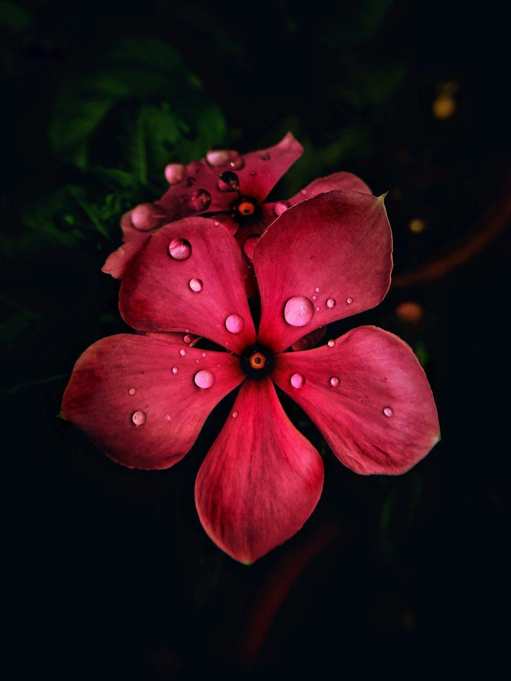 1000x1333 Tripura Picture. Download Free Image