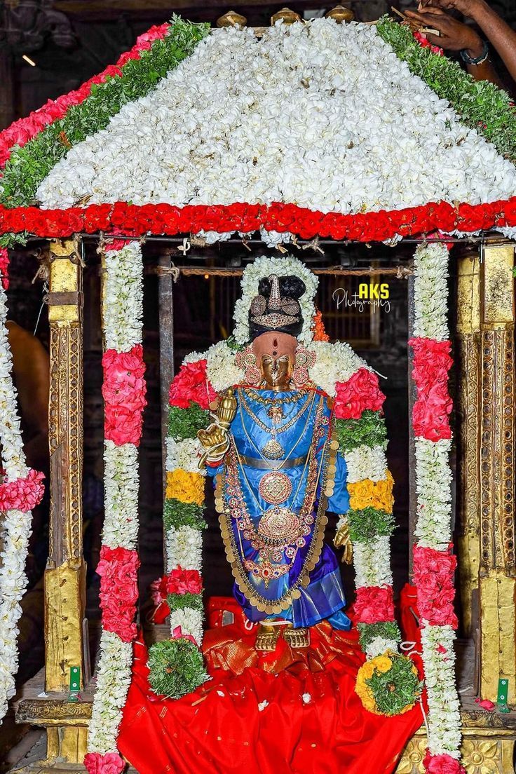 736x1104 tripura sri
