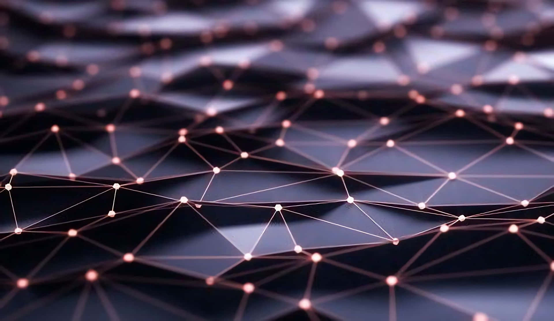 1920x1113 Network Picture