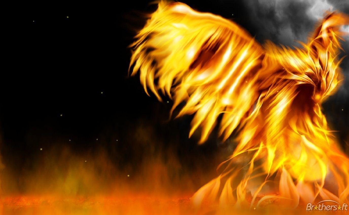 Free Animated Fire Wallpapers - Top Free Free Animated Fire Backgrounds -  WallpaperAccess