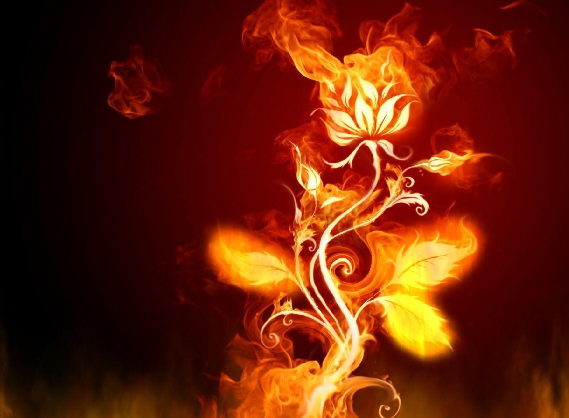 Burning Fire Wallpapers  Wallpaper Cave