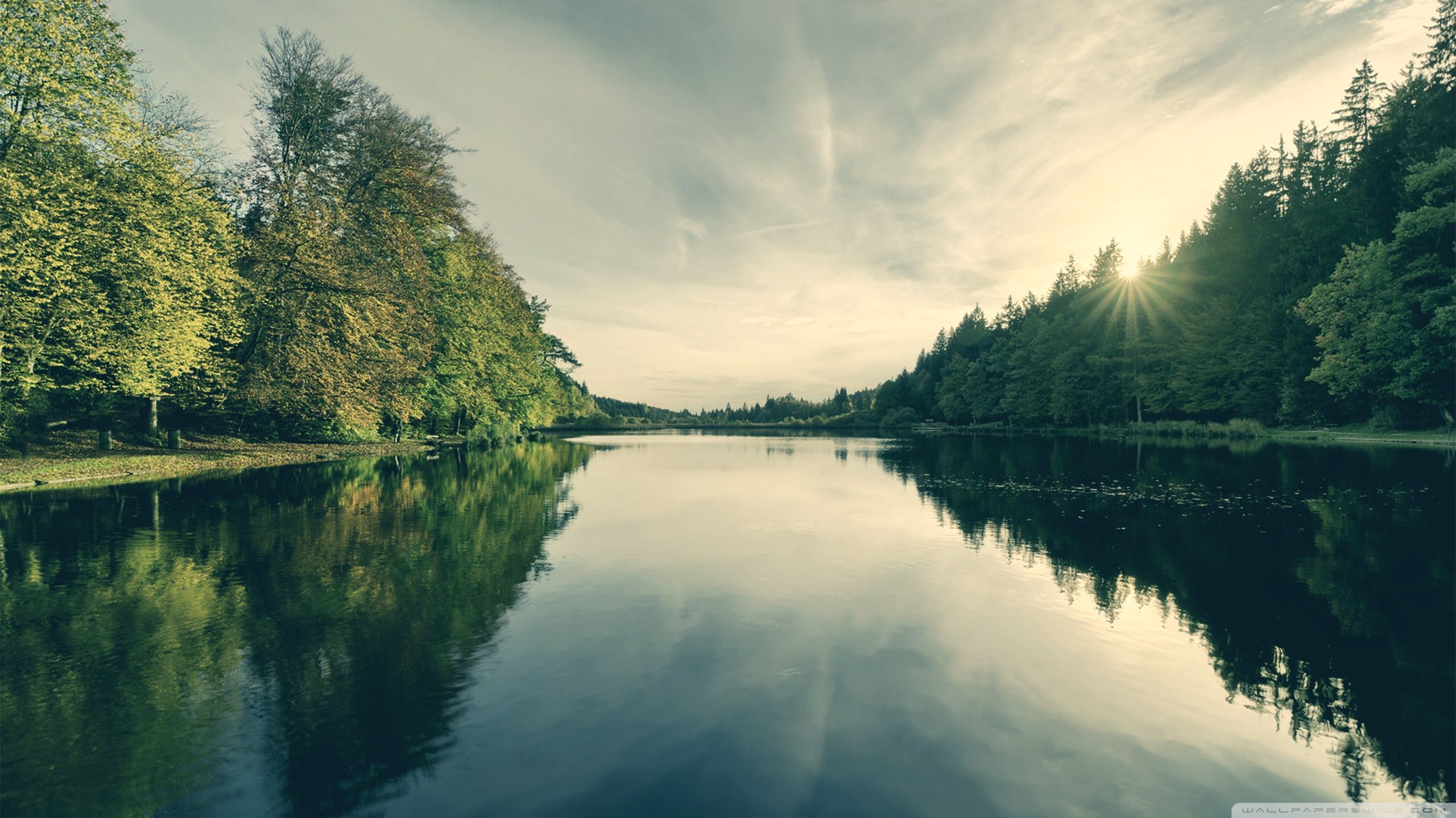 2560x1440 Pure Nature 4K HD Desktop Wallpaper