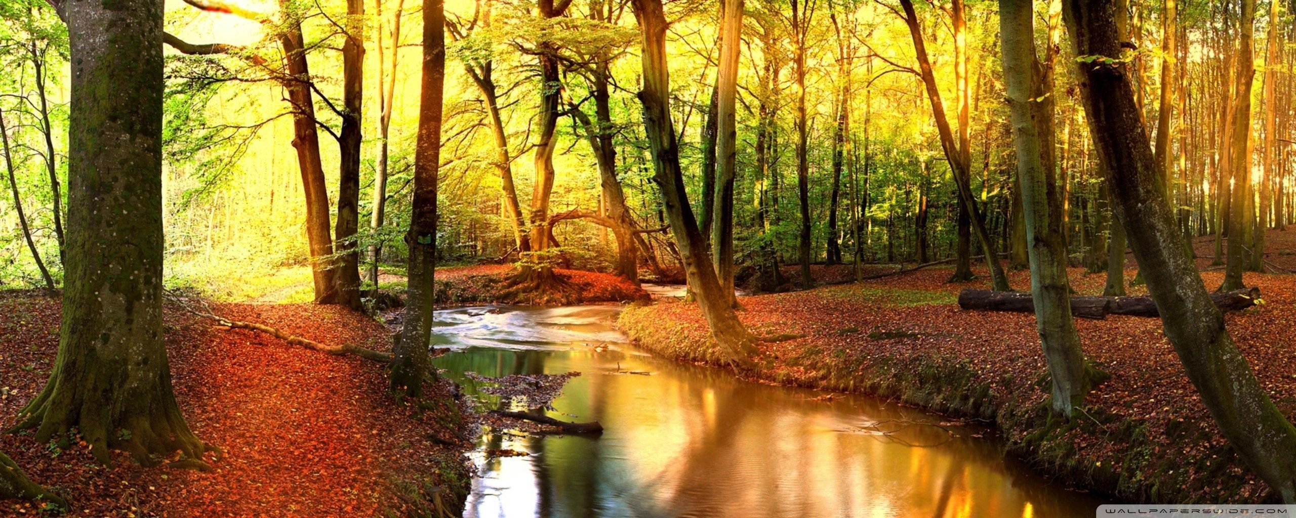 2560x1024 Impressive Autumn Landscape Ultra HD
