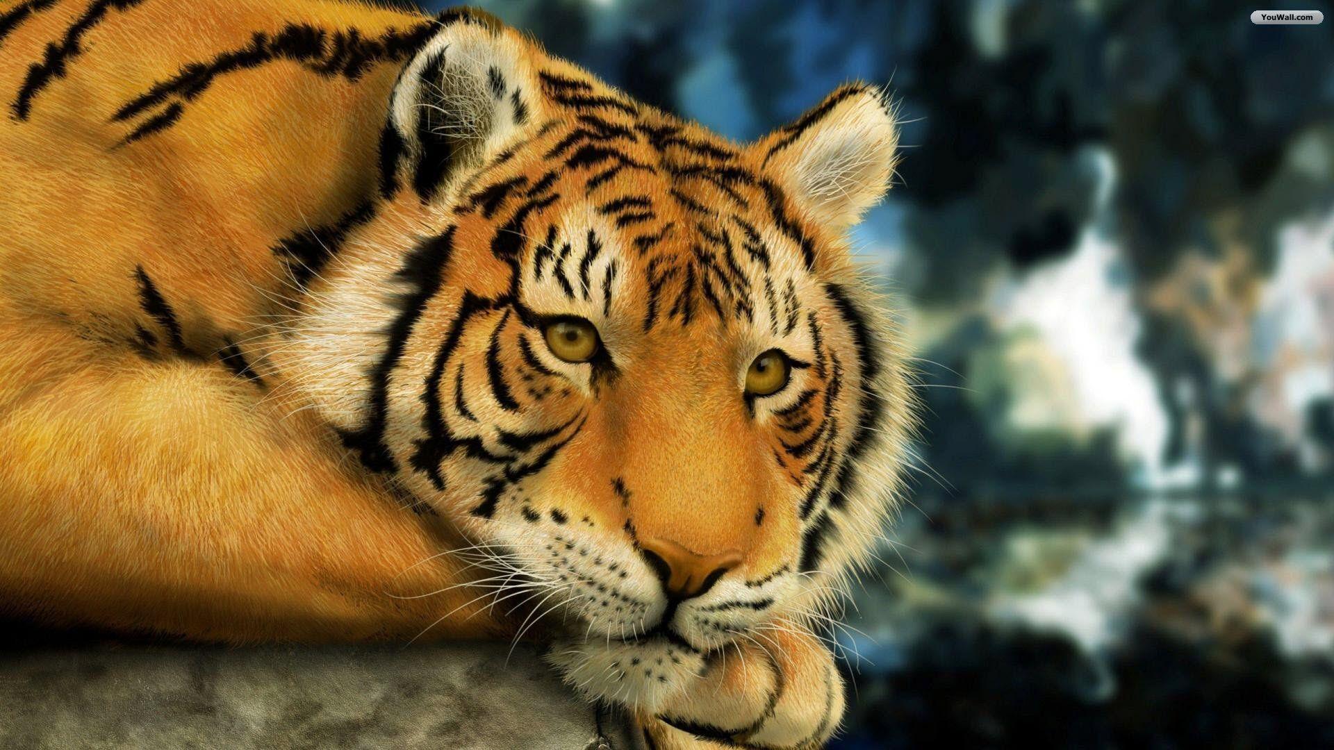 1920x1080 Tiger Wallpaper 3D Photo Free Download > SubWallpaper
