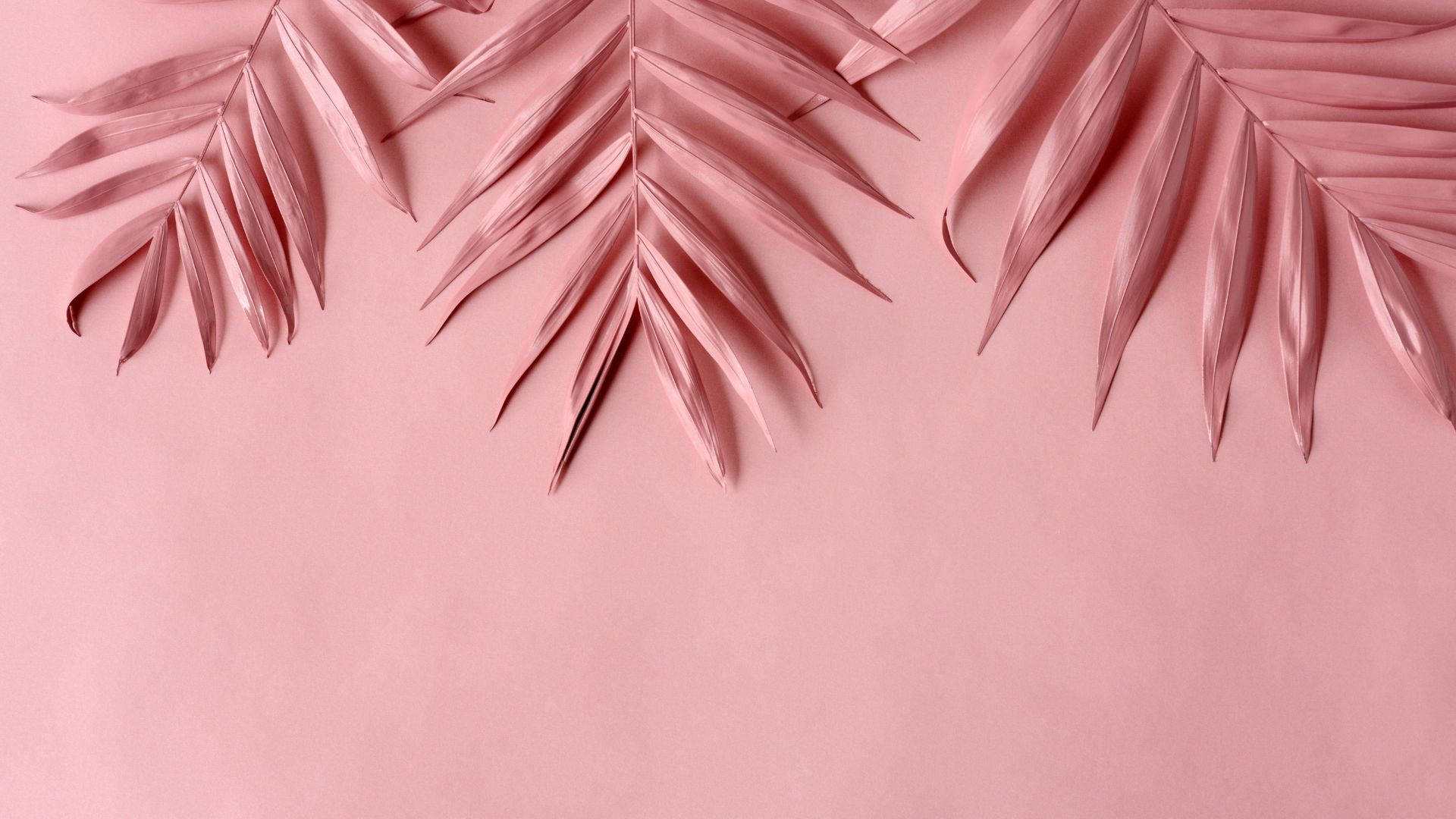 1920x1080 Baby Pink Wallpaper