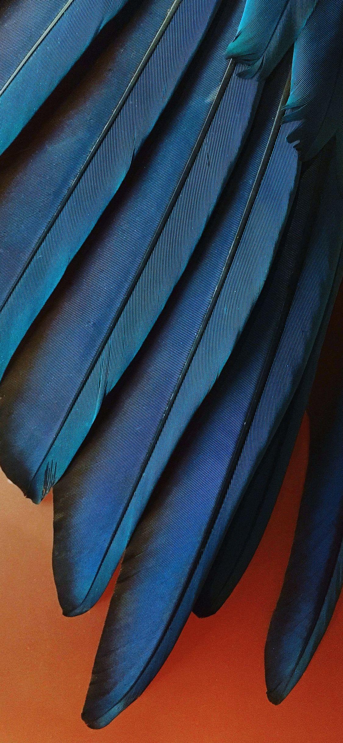 1125x2438 iOS 12 Stock Hình nền HD https://wallpaperaccess.com/full/1249583.jpg