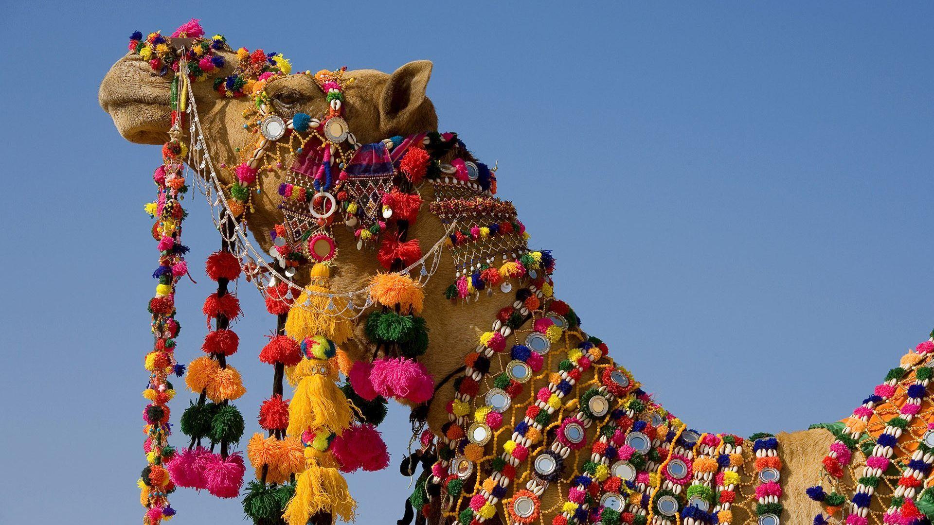 1920x1080 Other: INDIA Beautiful Incredible Gods Abode Colourful Wallpaper