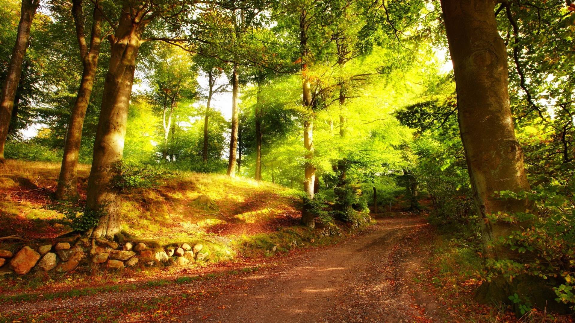 1920x1080 Summer Wallpaper Desktop Background 1233 Wallpaper