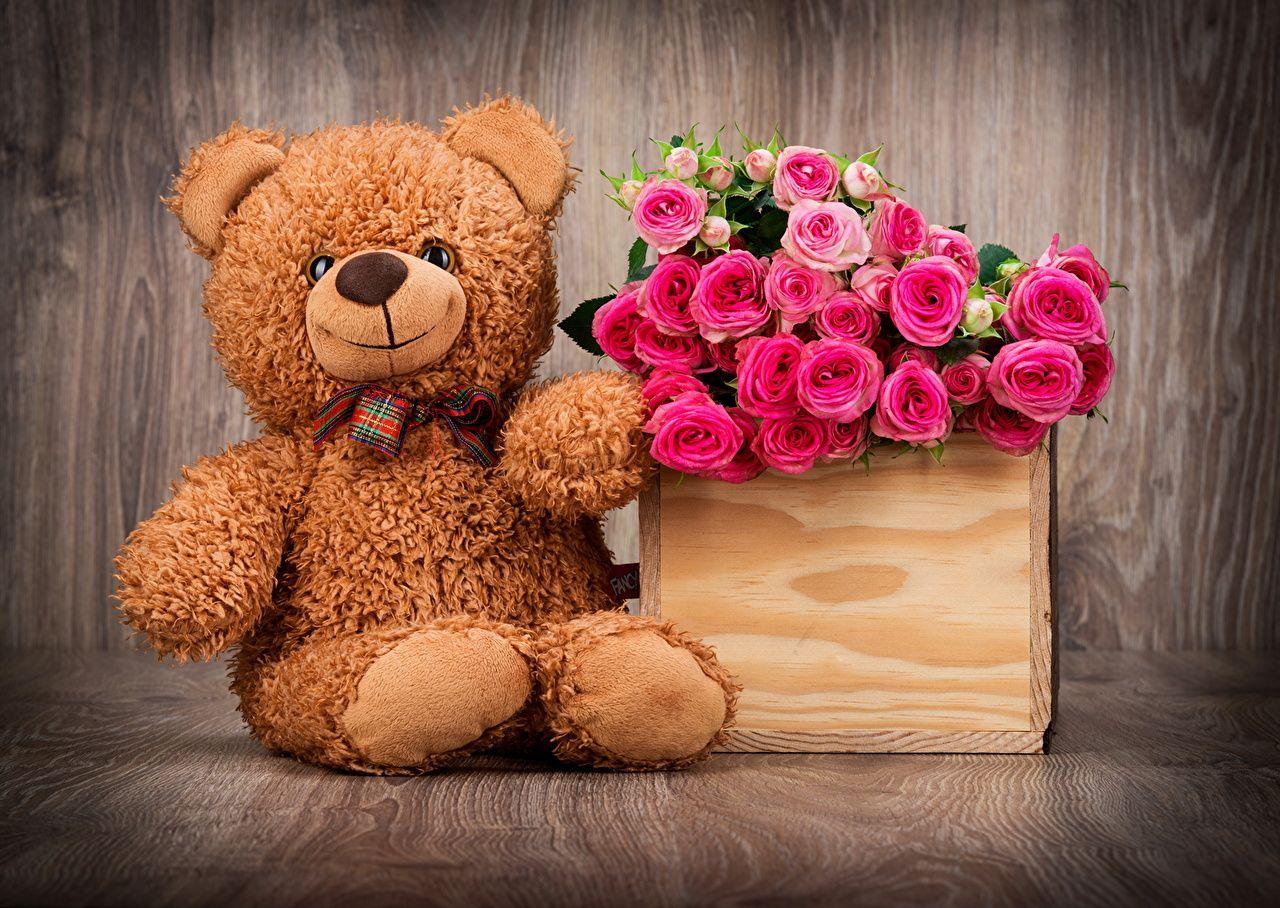 1280x908 Picture rose Pink color Flowers Teddy bear Toys