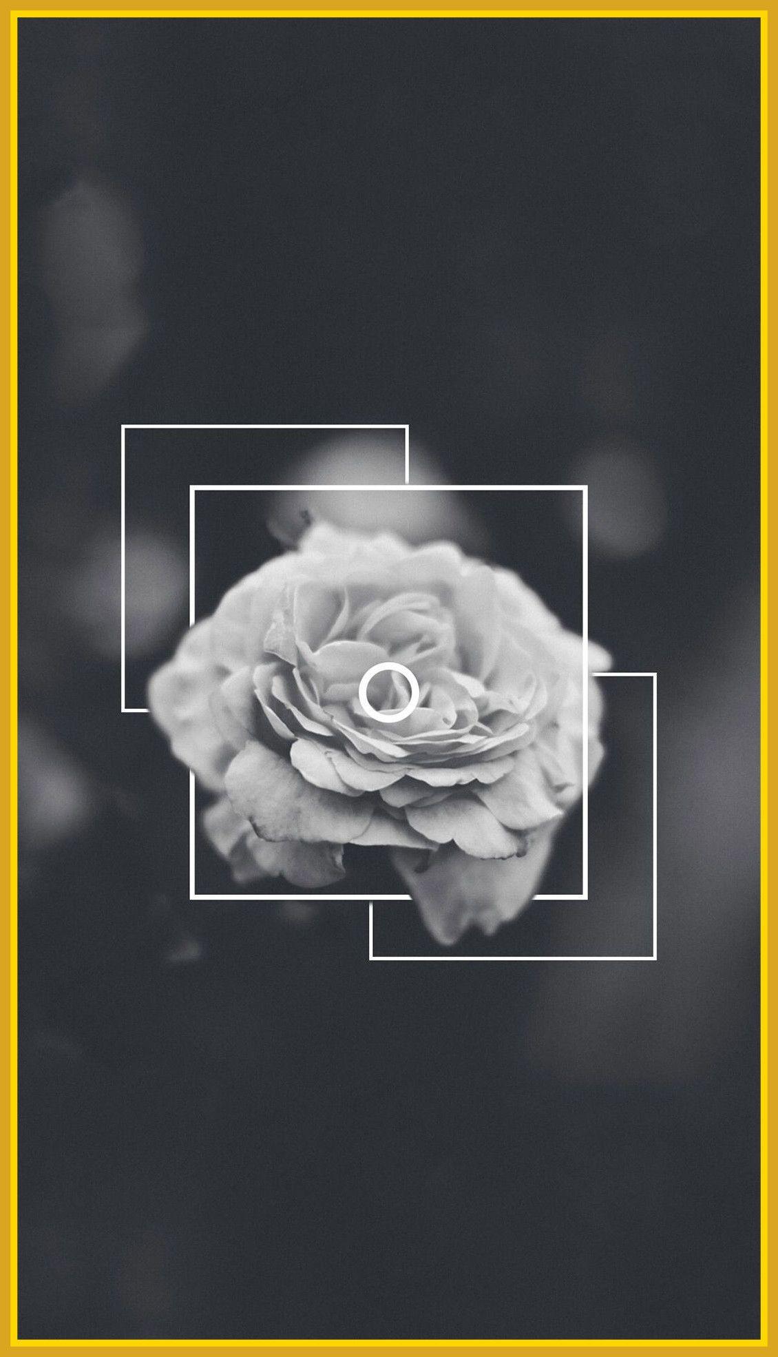 1130x1970 Flower Phone Wallpaper