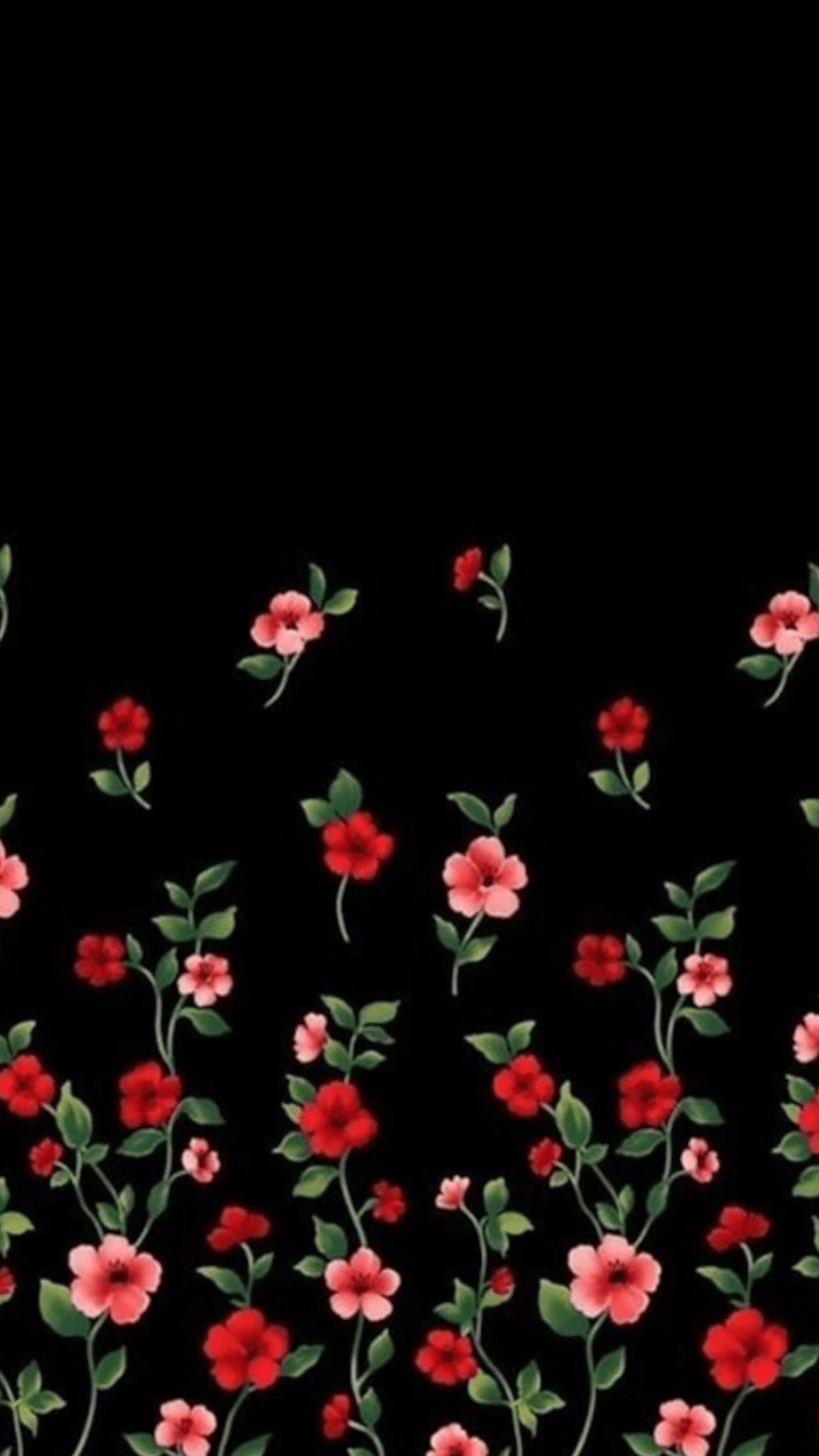1242x2208 Flower Image For Phone Wallpaper
