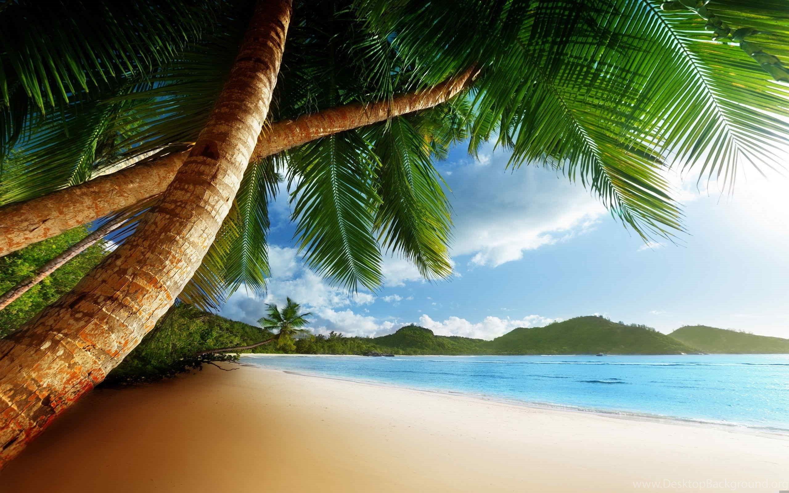 2560x1600 Caribbean HD Desktop Wallpaper Toptenpack.com Desktop Background