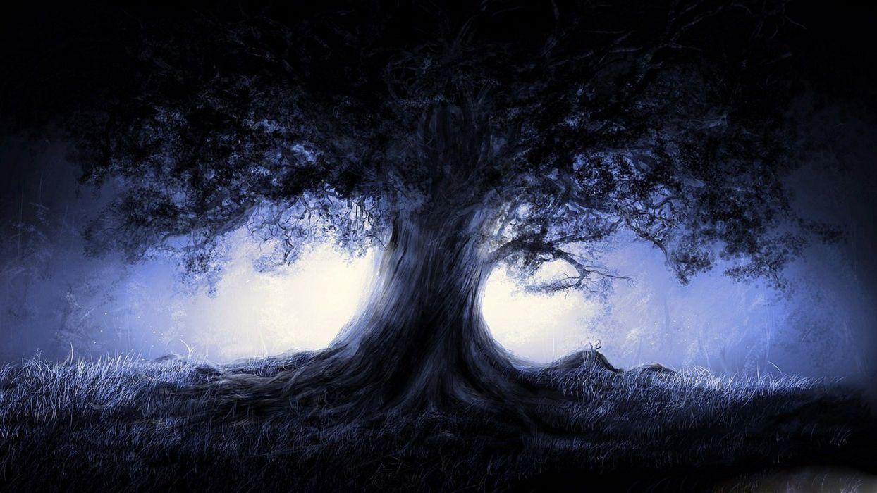 1244x700 Dark Forest With Moon Wallpaper