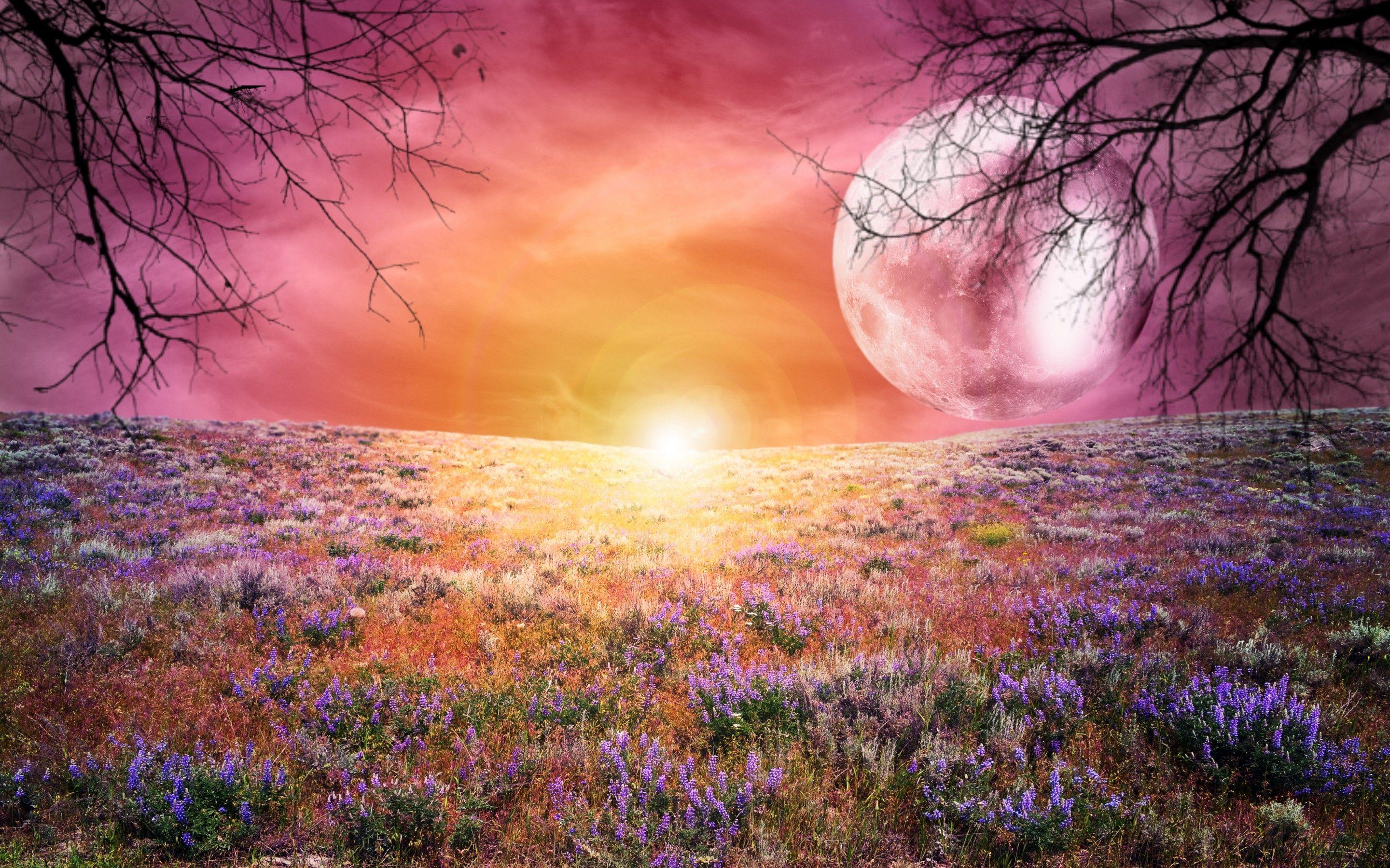 Dreamy Wallpapers - Top Free Dreamy Backgrounds - WallpaperAccess