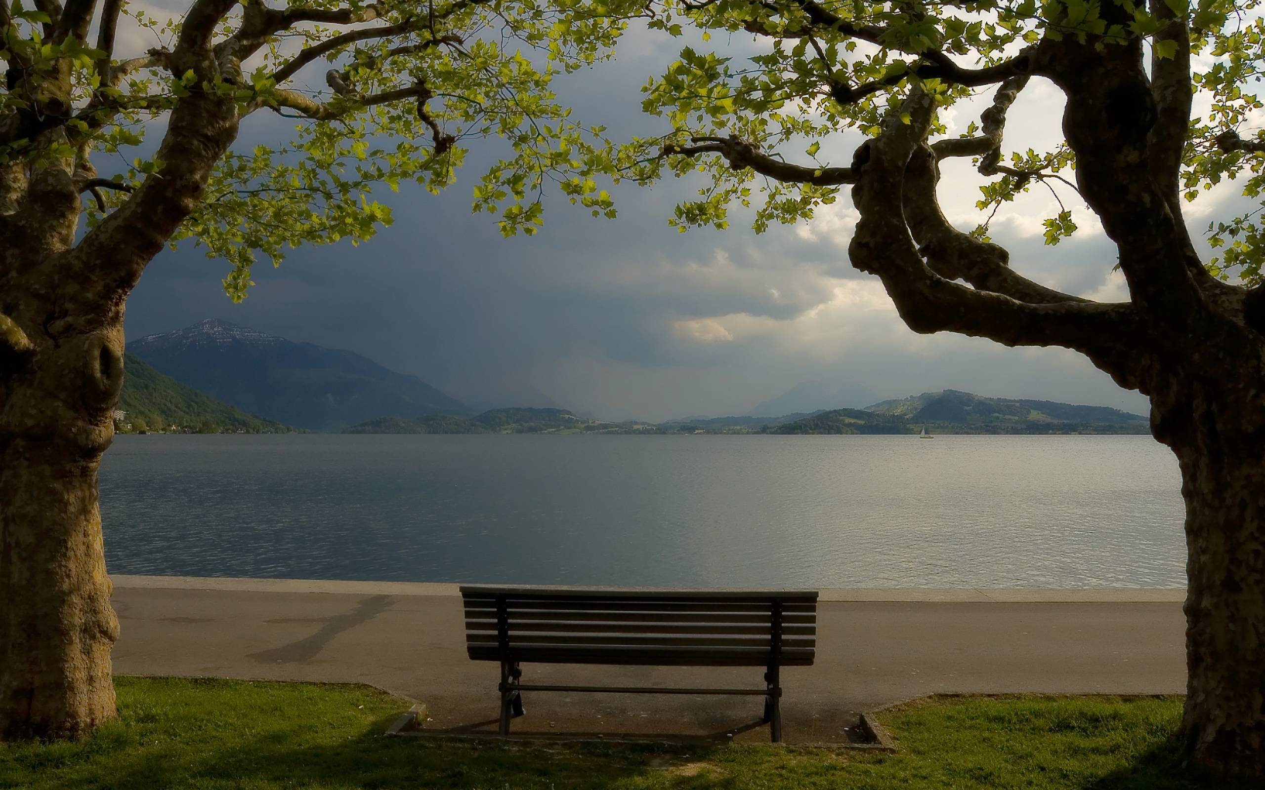 2560x1600 Calm Wallpaper