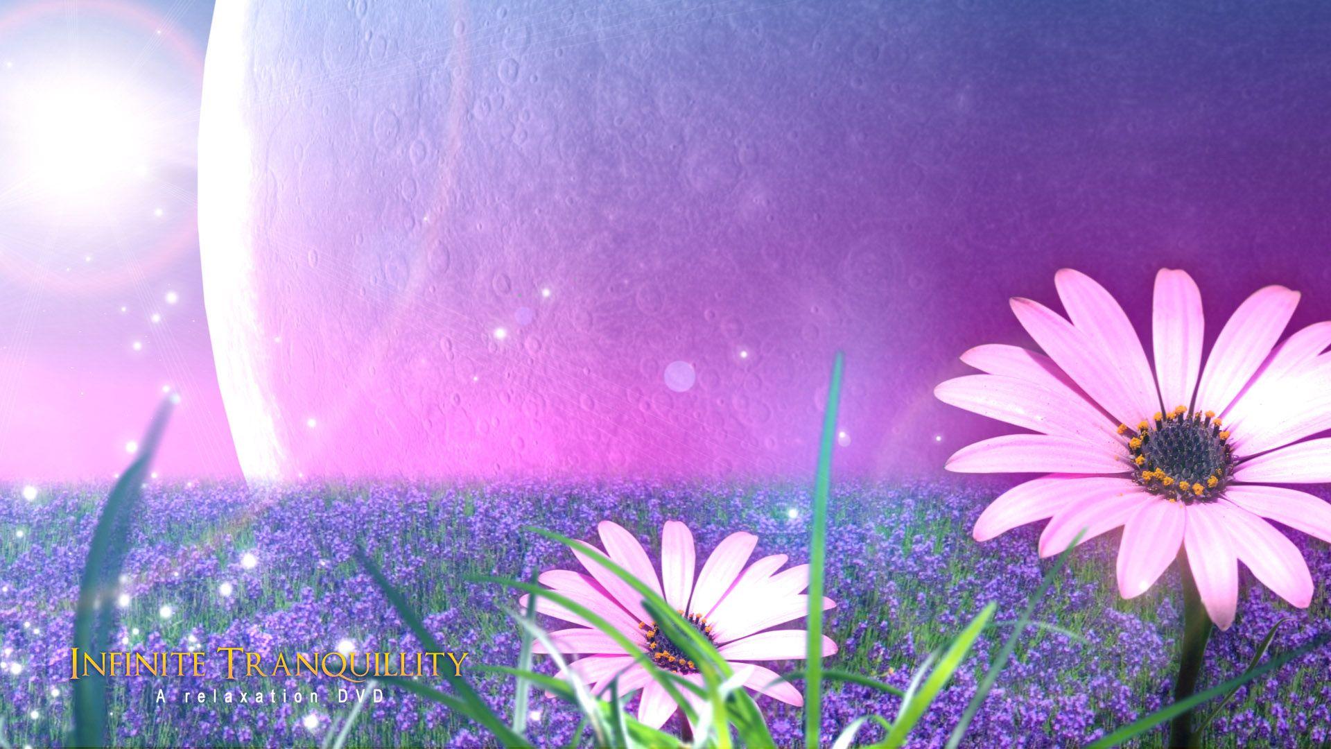 Calming Flower Wallpapers Top Free Calming Flower Backgrounds