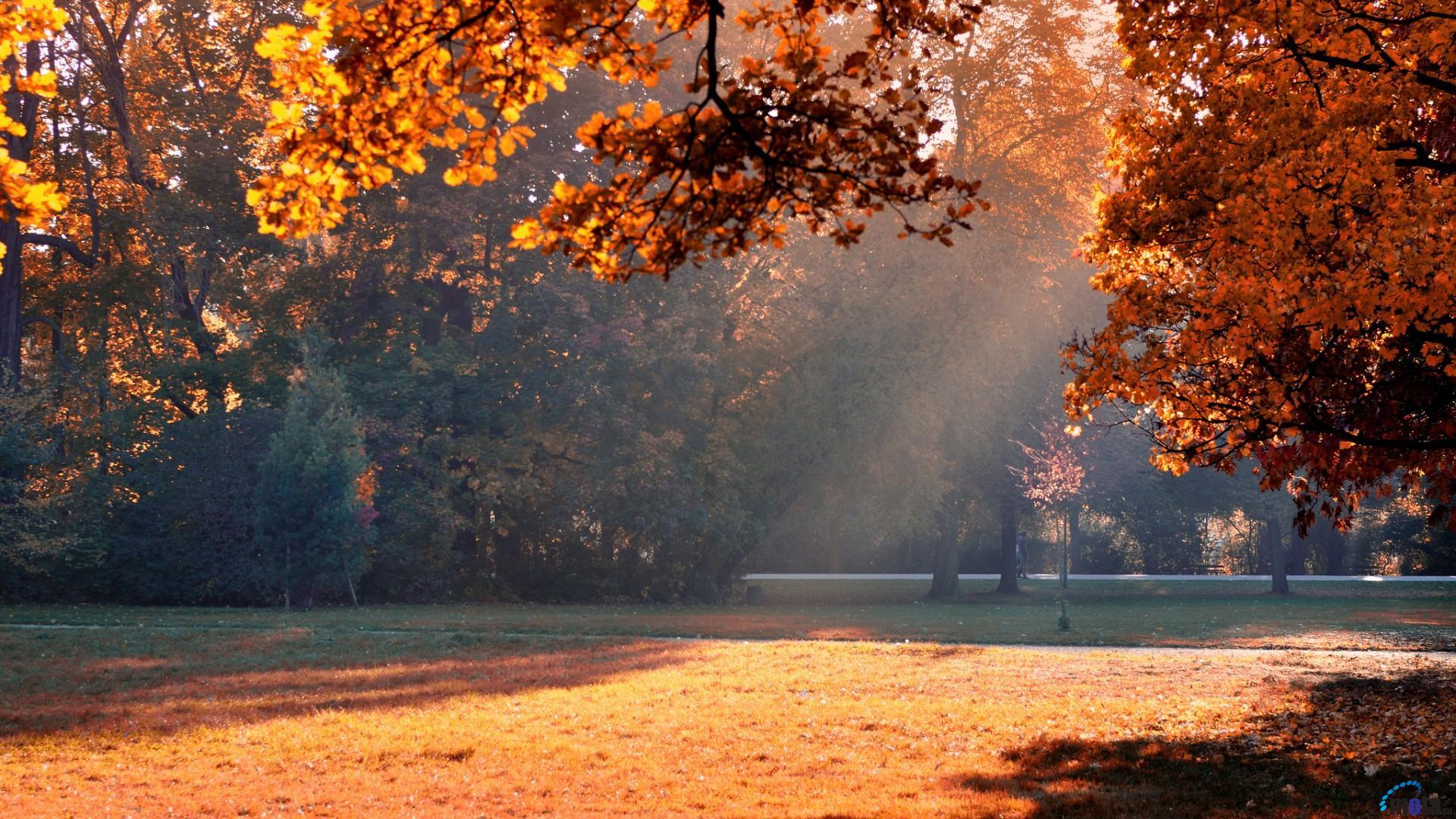 Warm Nature Wallpapers Top Free Warm Nature Backgrounds WallpaperAccess Warm Nature Wallpapers Top Free Warm Nature Backgrounds WallpaperAccess