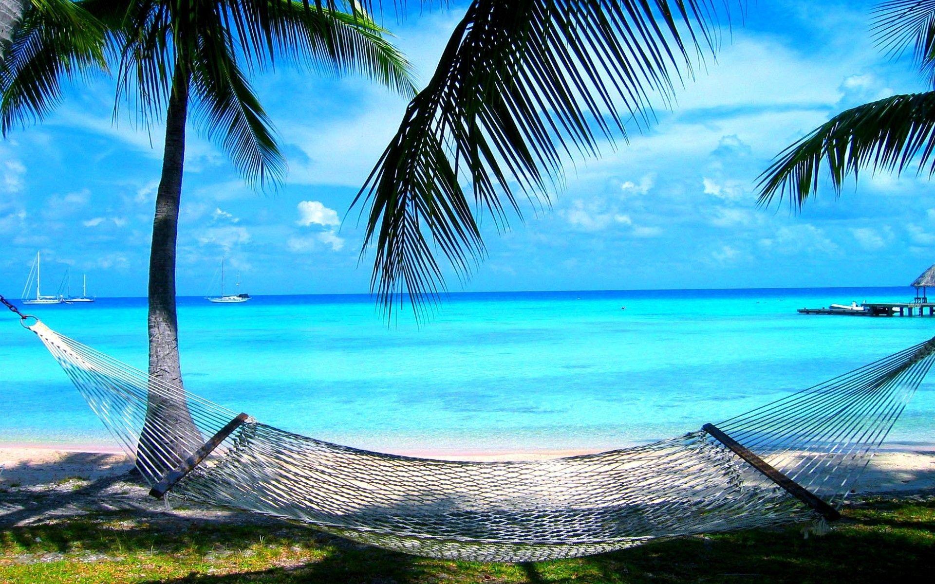 Пляж с пальмами. Пальмы и океан. Гамак на пляже с пальмами. Море солнце пальмы.