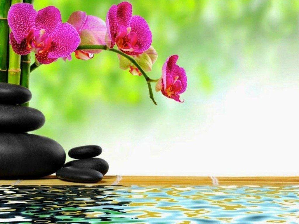 Relaxing Spa Wallpapers - Top Free Relaxing Spa Backgrounds 