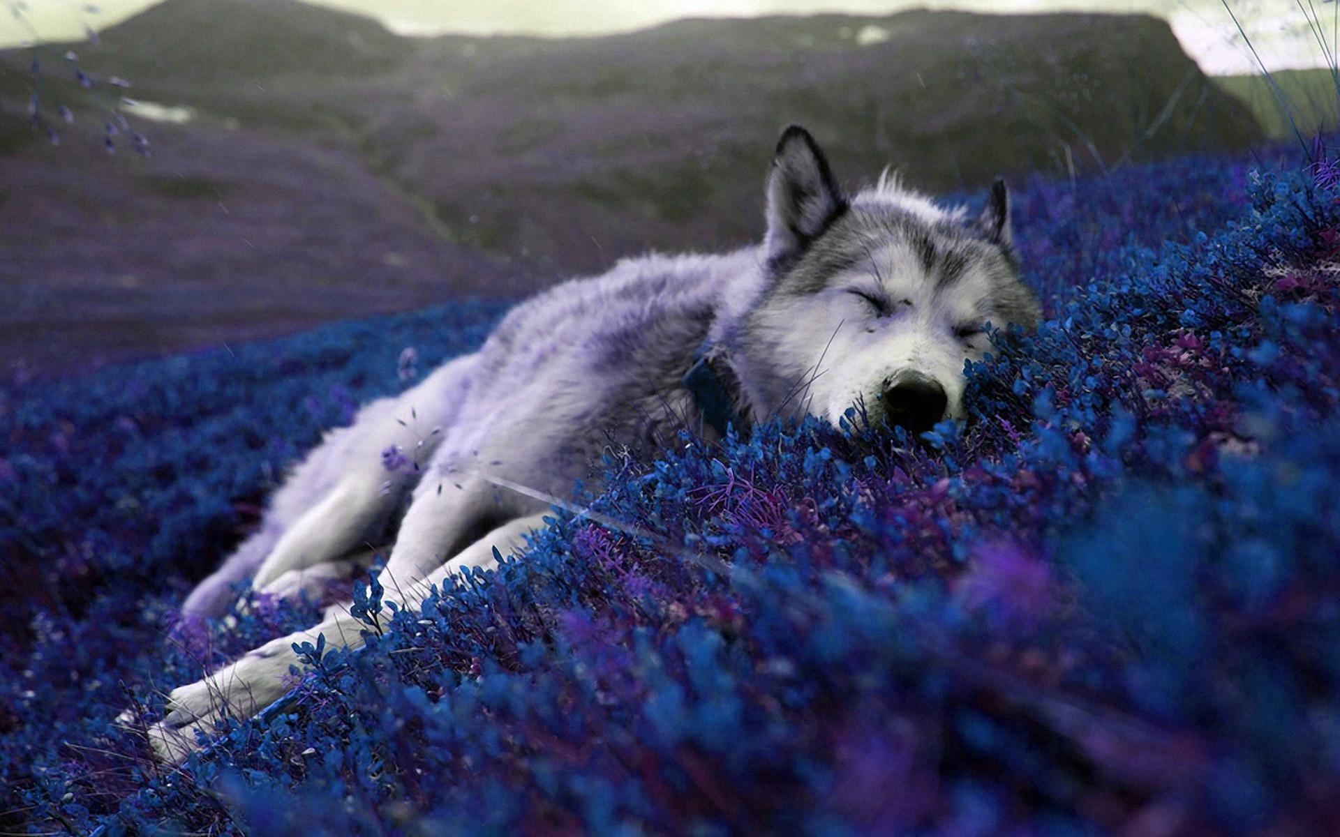1920x1200 Relaxing Wallpaper, Relaxing Background, #VQ836