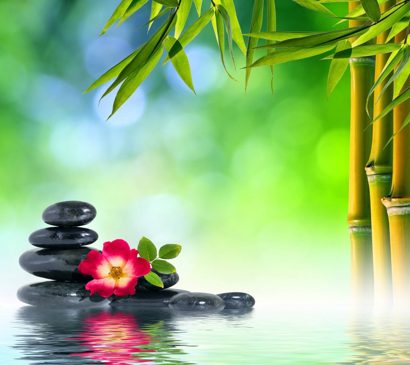 Relaxing Spa Wallpapers - Top Free Relaxing Spa Backgrounds