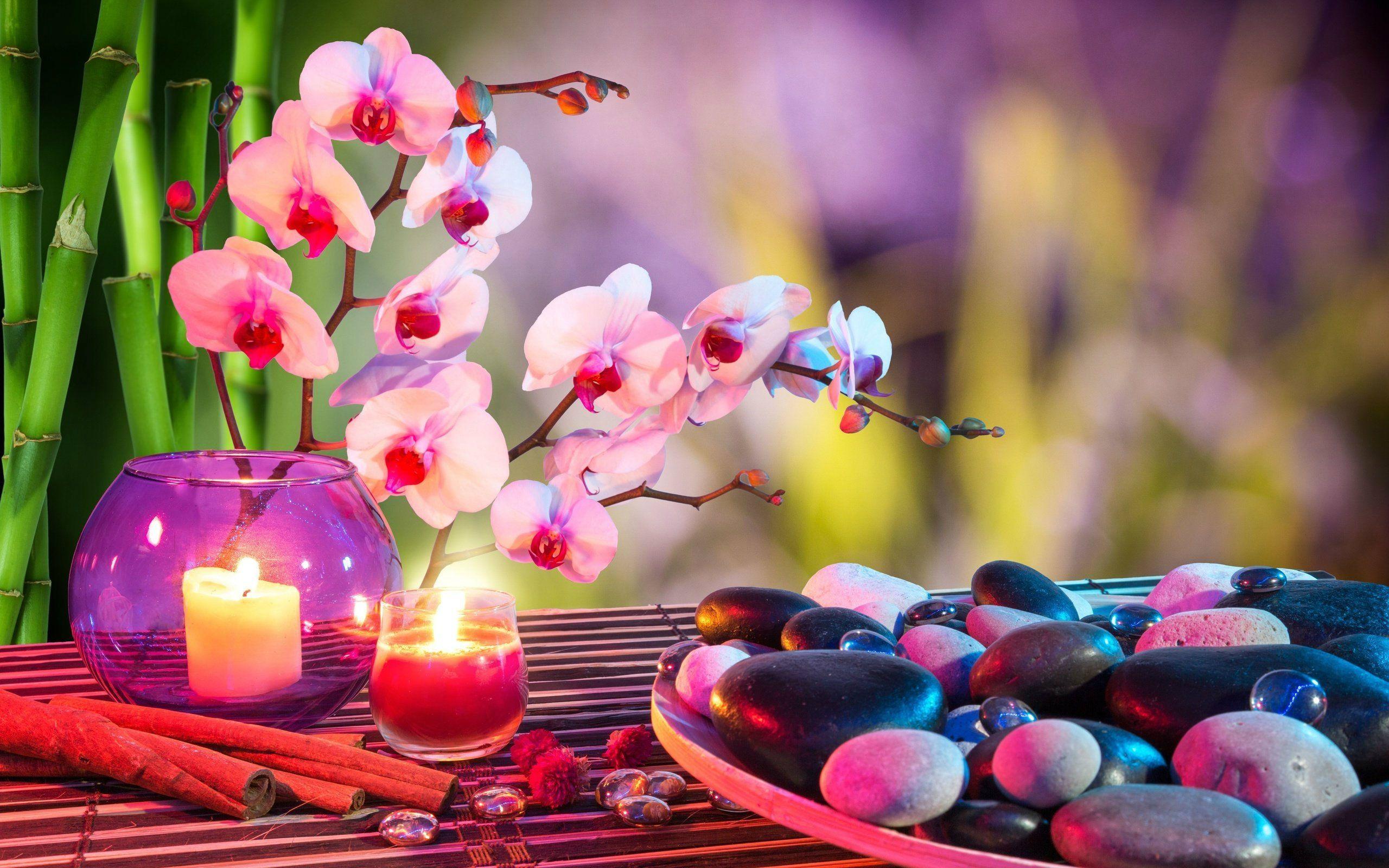2560x1600 Spa Flowers Wallpaper