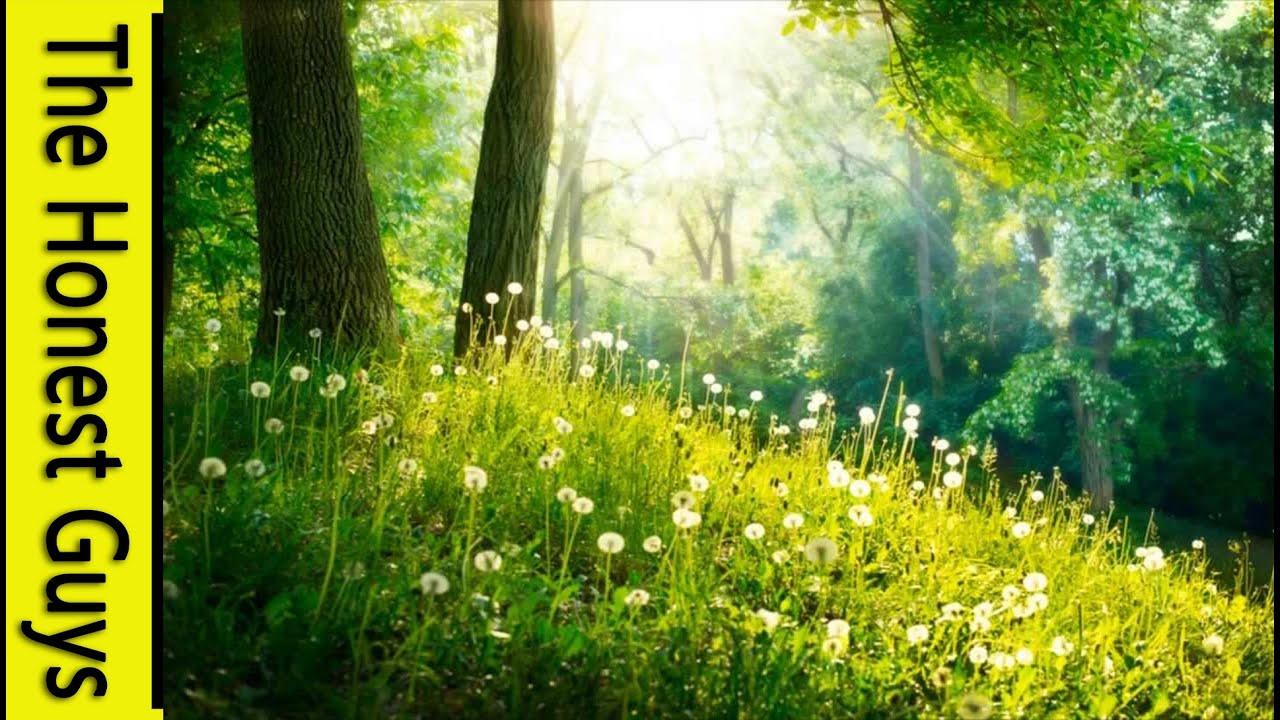 1280x720 HOURS of Relaxing Music Music, Spa, Sleep, Study