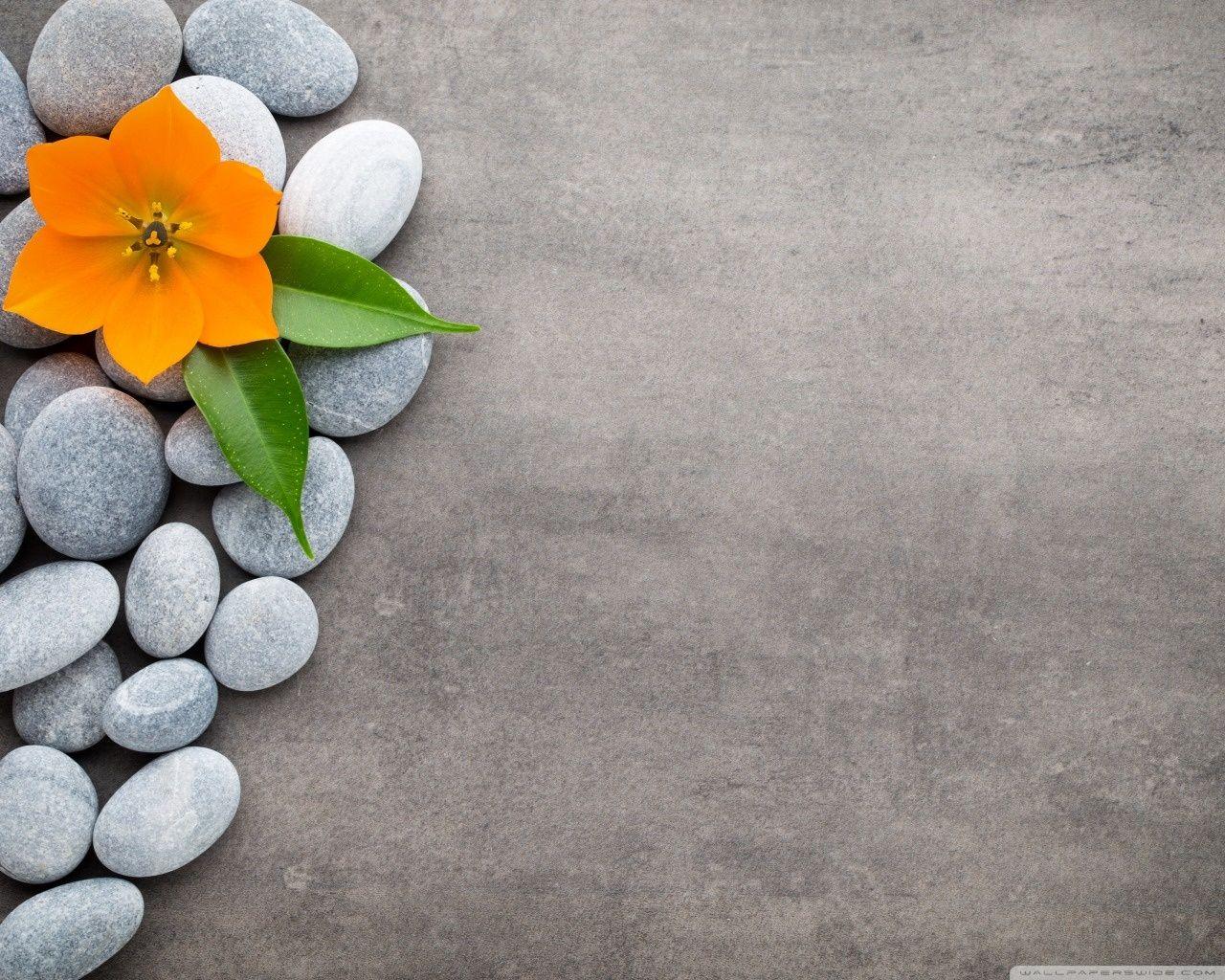 1280x1024 Spa Zen Stones Flower Orchid Ultra HD Desktop Background Wallpaper for