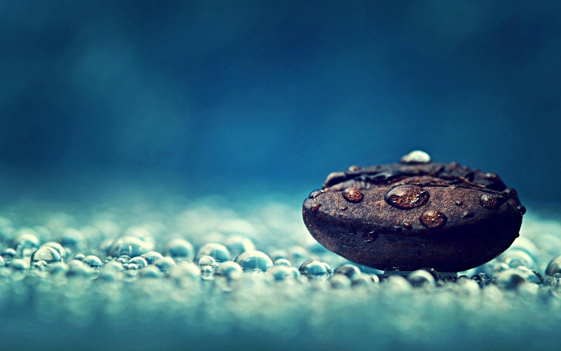 1920x1200 Most Popular Computer Wallpaper