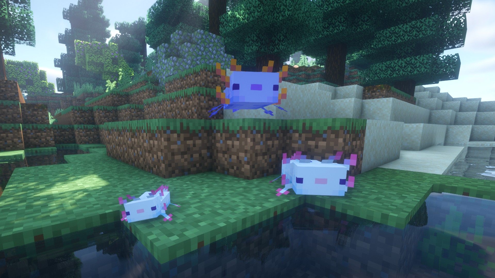 Minecraft axolotl wallpapers top free minecraft axolotl backgrounds