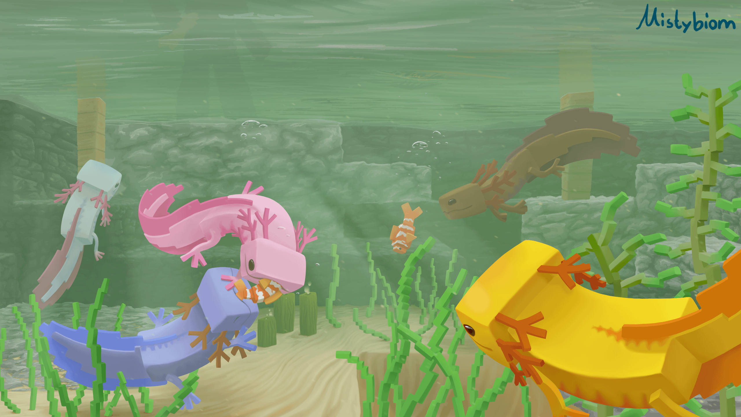 2560x1440 Axolotl Feeding Time!