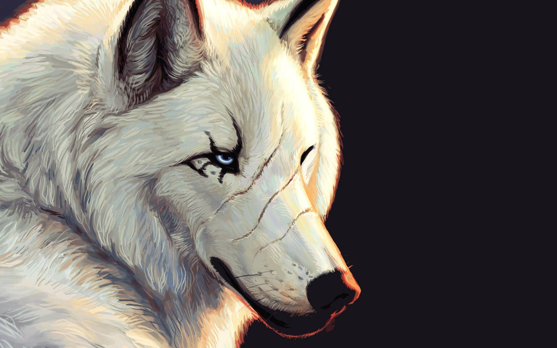 1920x1200 White wolf Wallpaper