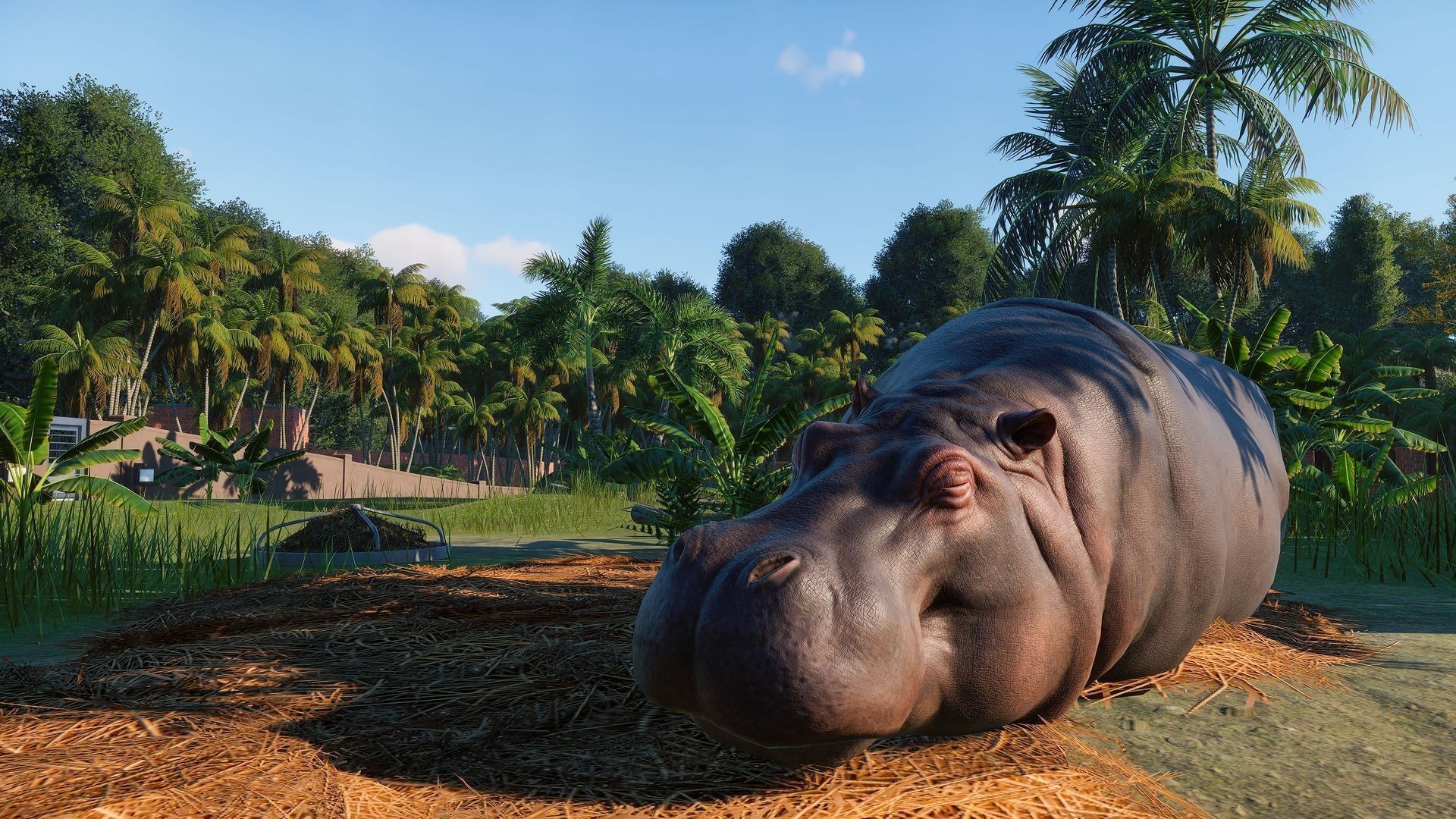 1920x1080 Video Game Planet Zoo HD Wallpaper