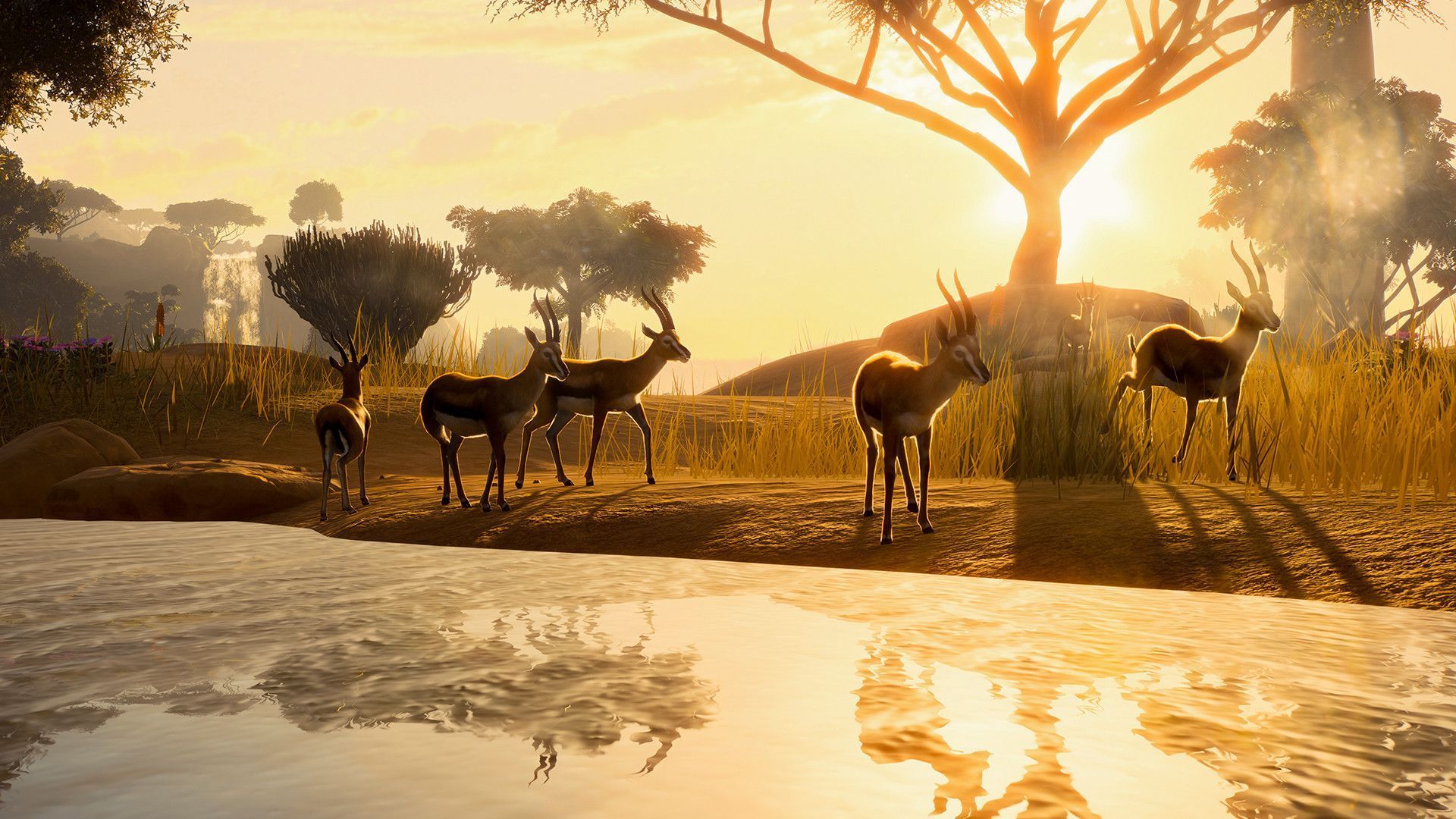 1920x1080 Planet Zoo: Deluxe Upgrade Pack on Steam