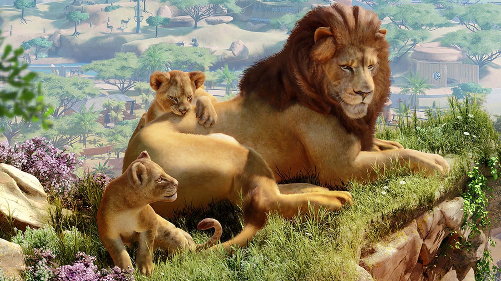 1600x900 Download Planet Zoo Video Game Lion