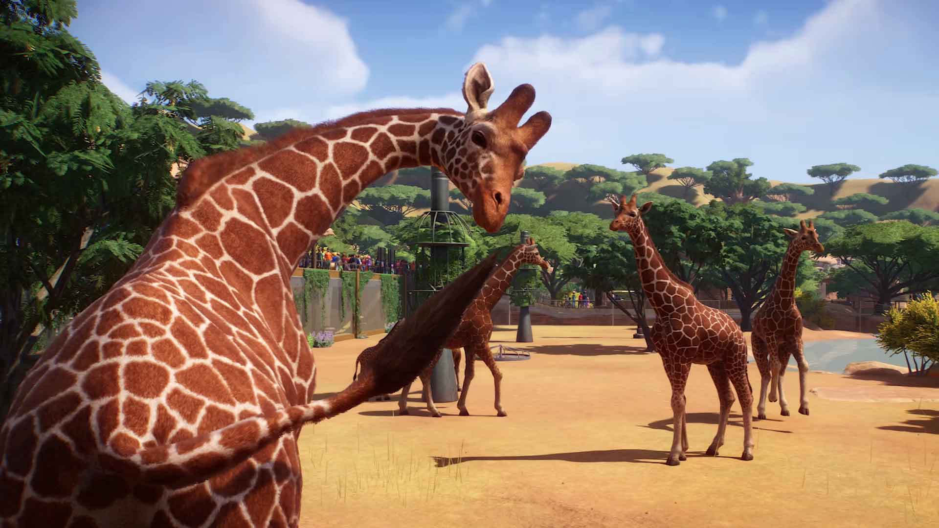 1920x1080 Planet Zoo Wallpaper